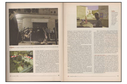 il diario 20