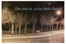 il diario 6